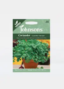 Coriander Cilantro For Leaf Seeds