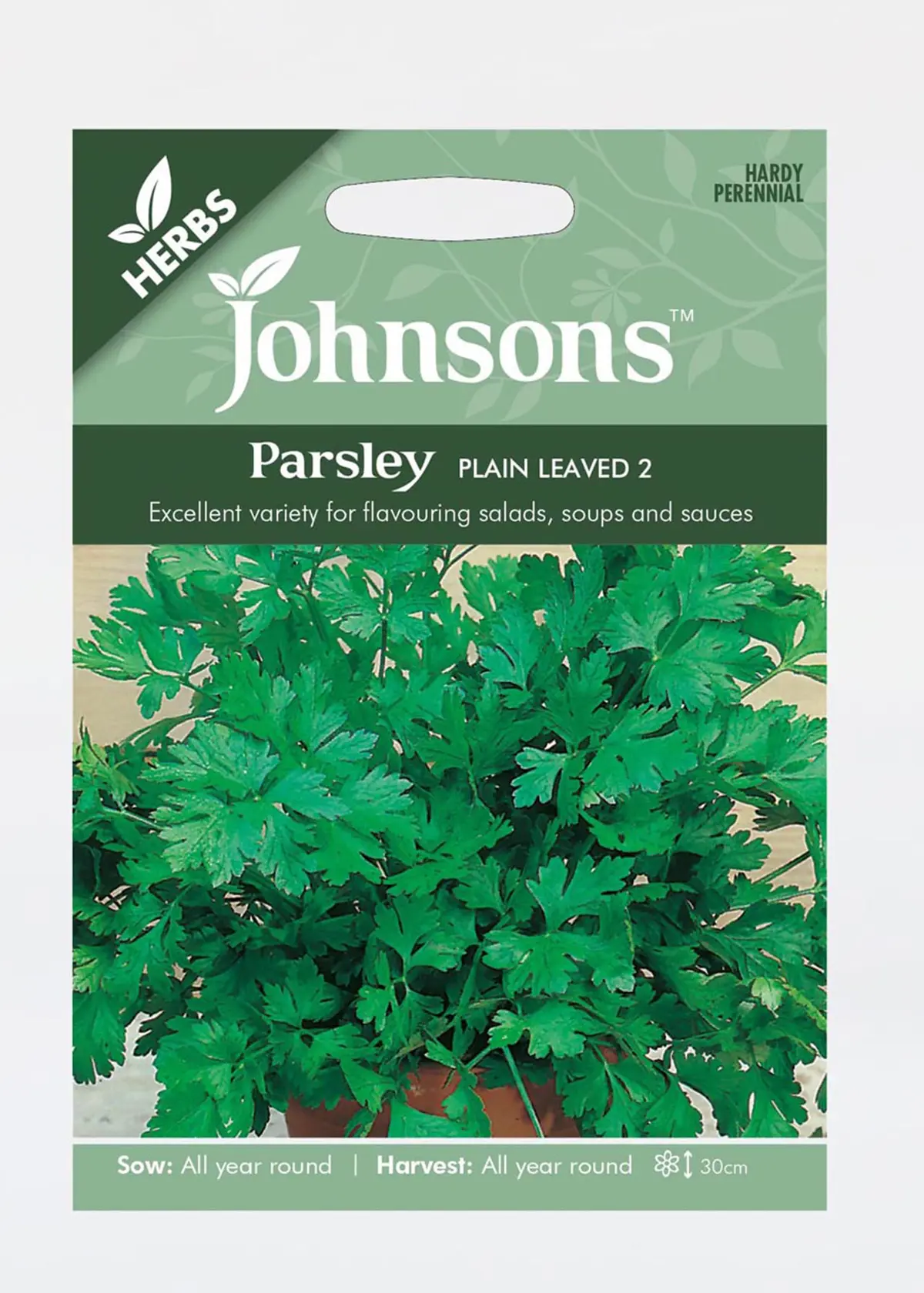 A photo of Parsley Plain Leaved 2 Seeds