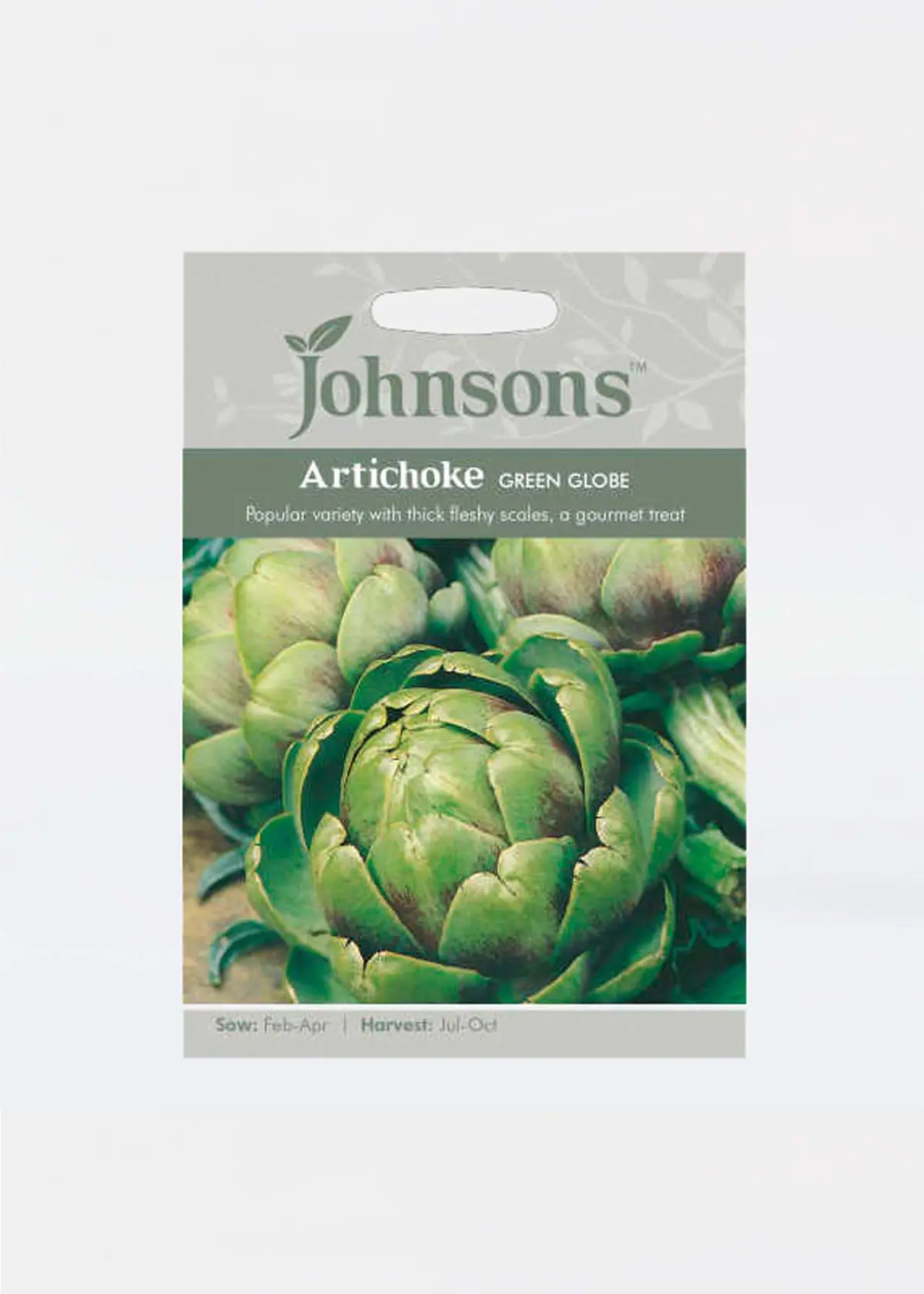 A photo of Artichoke Green Globe Seeds