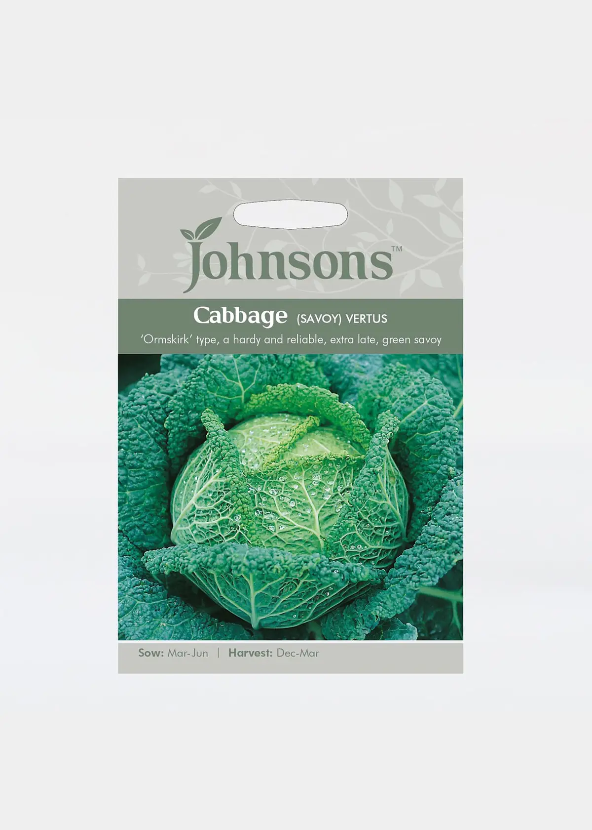 A photo of Cabbage (Savoy) Vertus Seeds