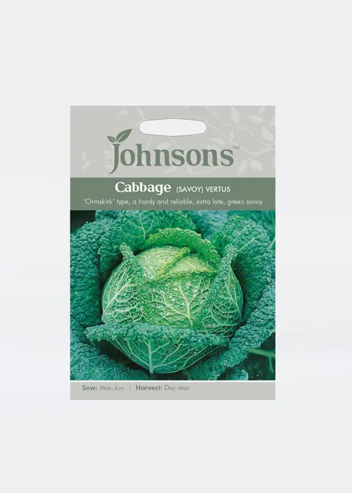 A photo of Cabbage (Savoy) Vertus Seeds