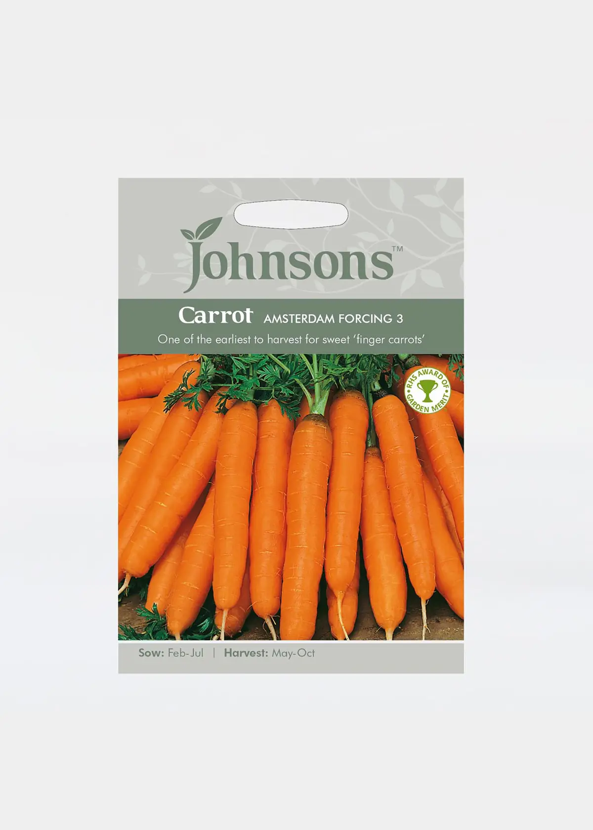 A photo of Carrot Amsterdam Forcing 3 Seeds