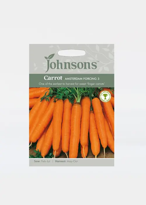 A photo of Carrot Amsterdam Forcing 3 Seeds