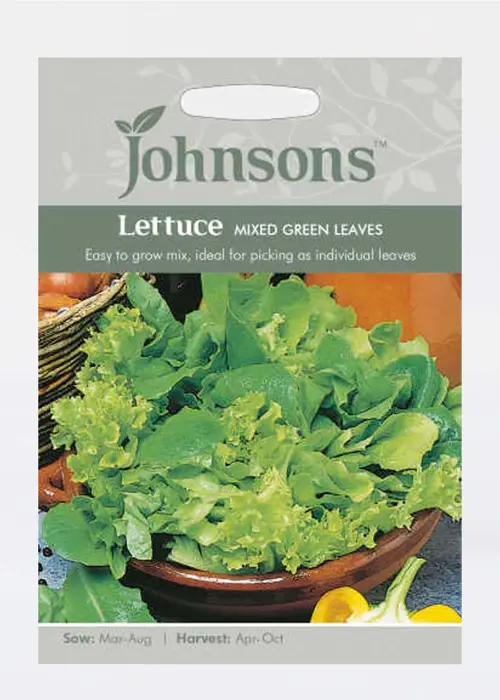 A photo of Mixed Green Lettuce Leaves Seeds