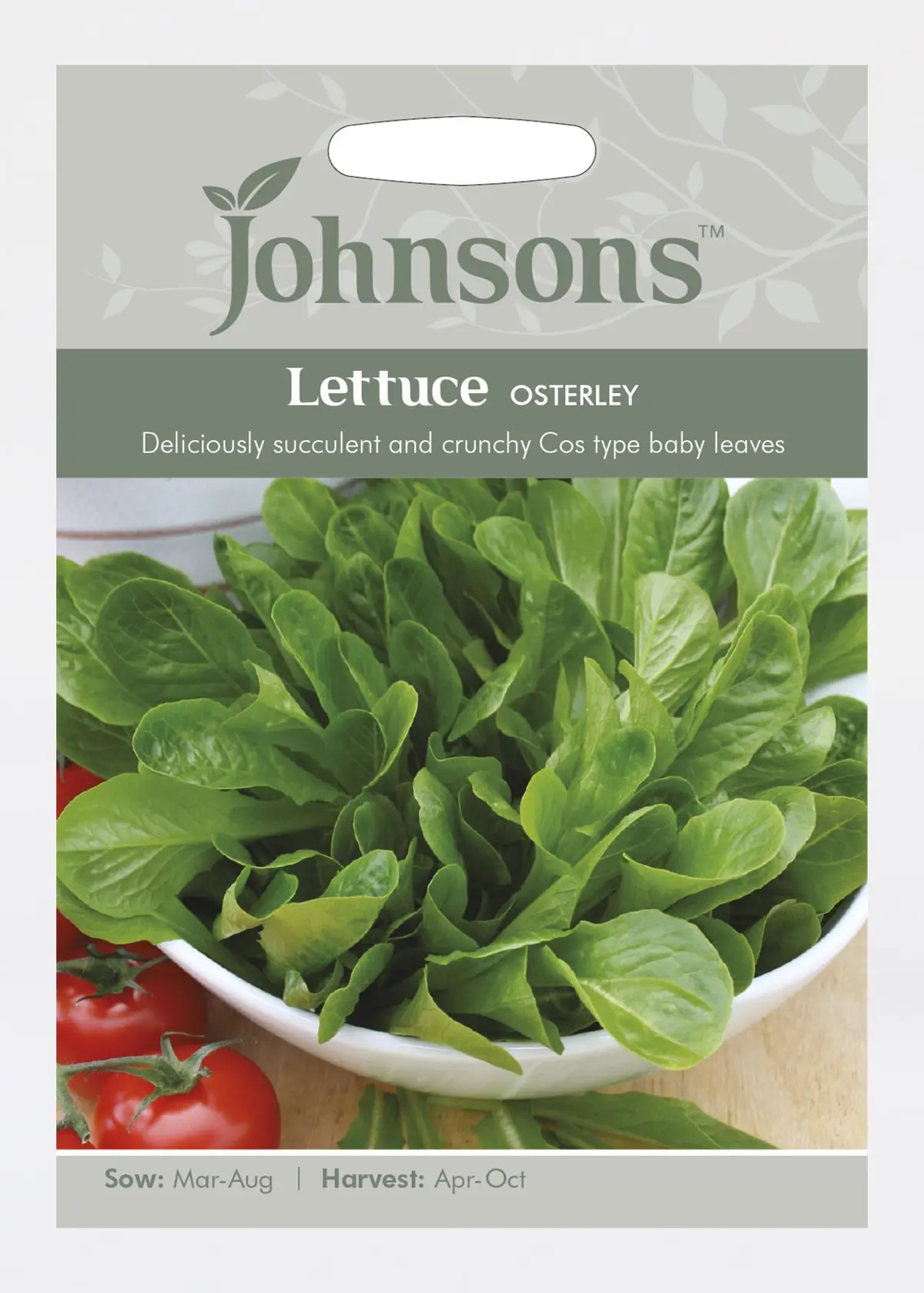 A photo of Lettuce Osterley Seeds