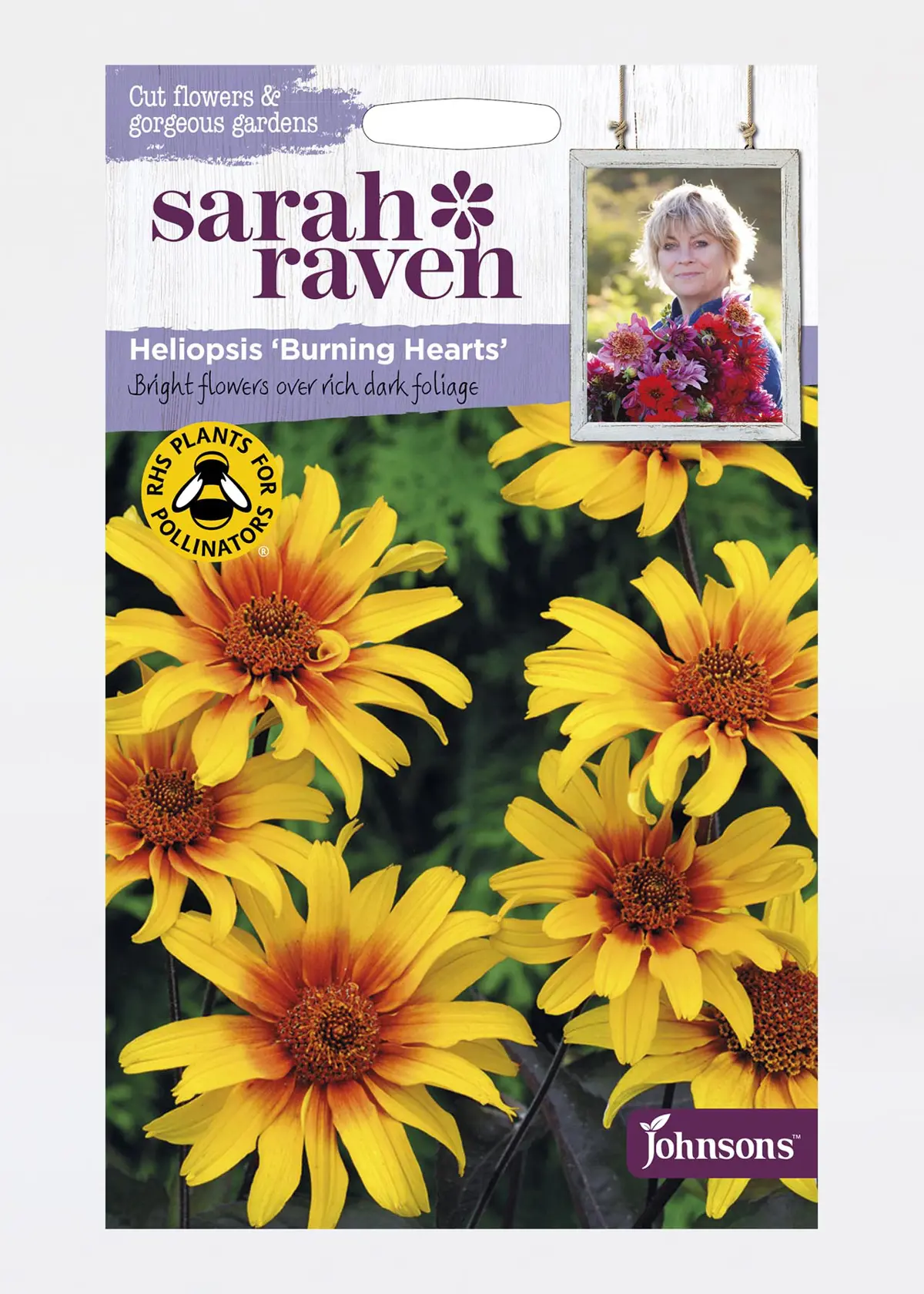A photo of Heliopsis Burning Hearts Seeds