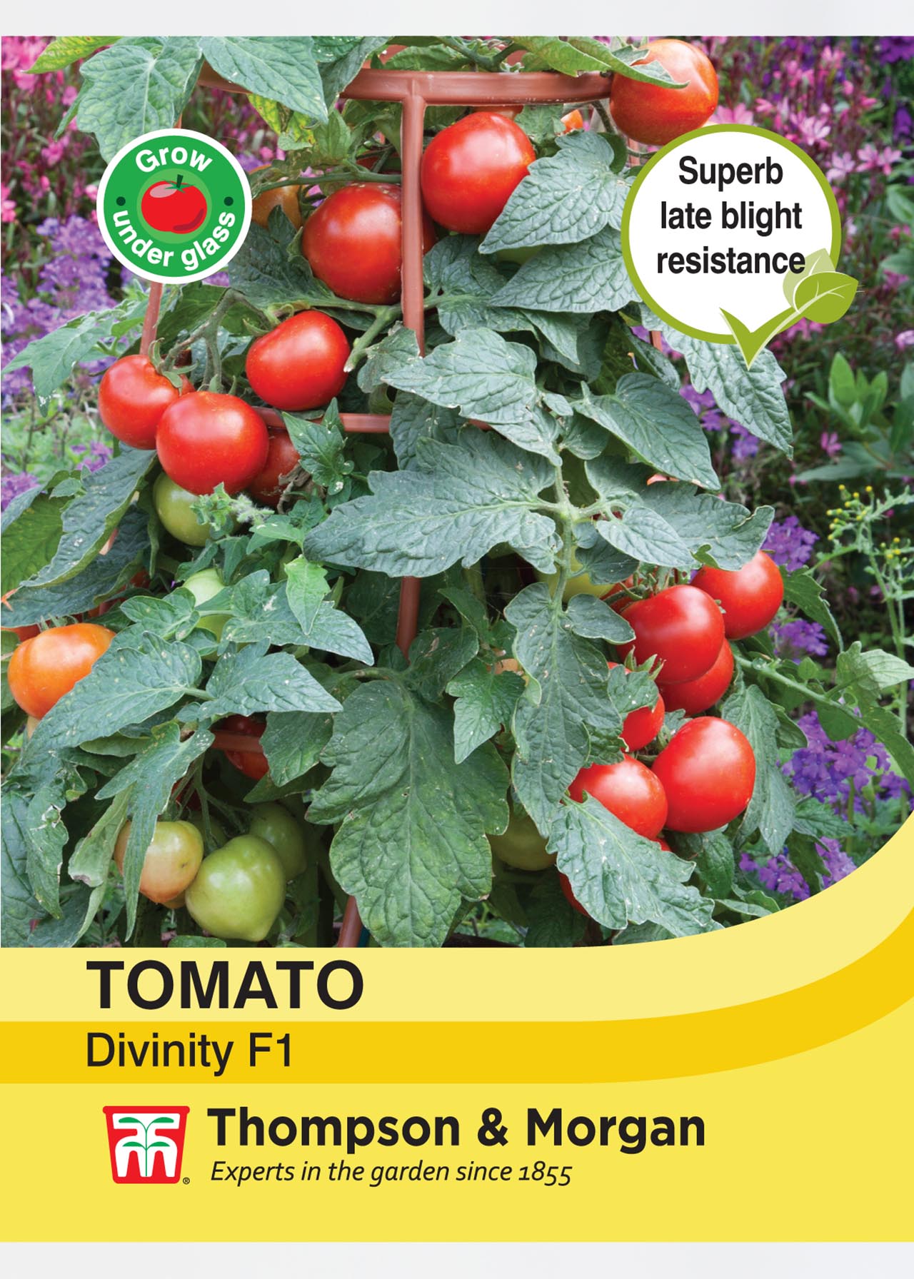 Tomato Divinity Seeds Dobbies Garden Centres