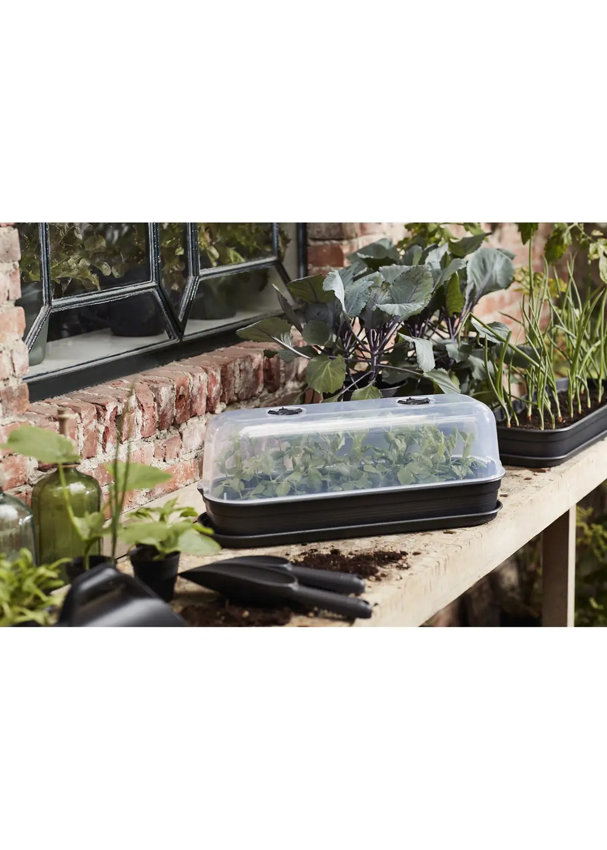 A photo of Elho Green Basics Grow Lid Large
