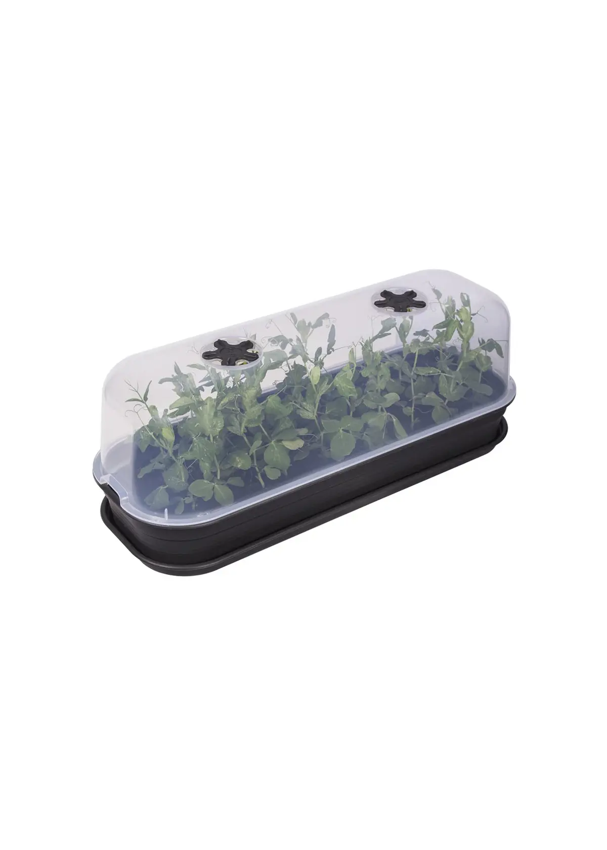 A photo of Elho Green Basics Grow Lid Large