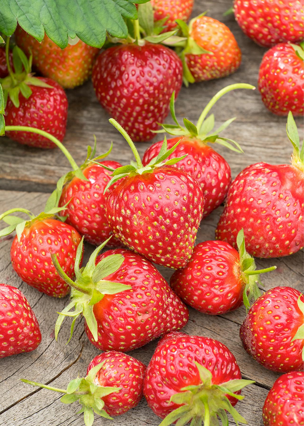 Strawberry Delizz 1.5ltr