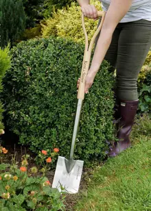 Kent & Stowe Stainless Steel Border Spade