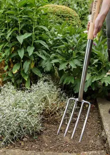 Kent & Stowe Stainless Steel Border Fork