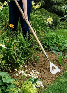 Kent & Stowe Stainless Steel Long Handled Dutch Hoe