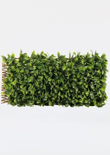 Lemon Leaf Willow Trellis 180 x 90cm