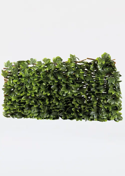 A photo of Maple Leaf Willow Trellis 180 x 90 cm
