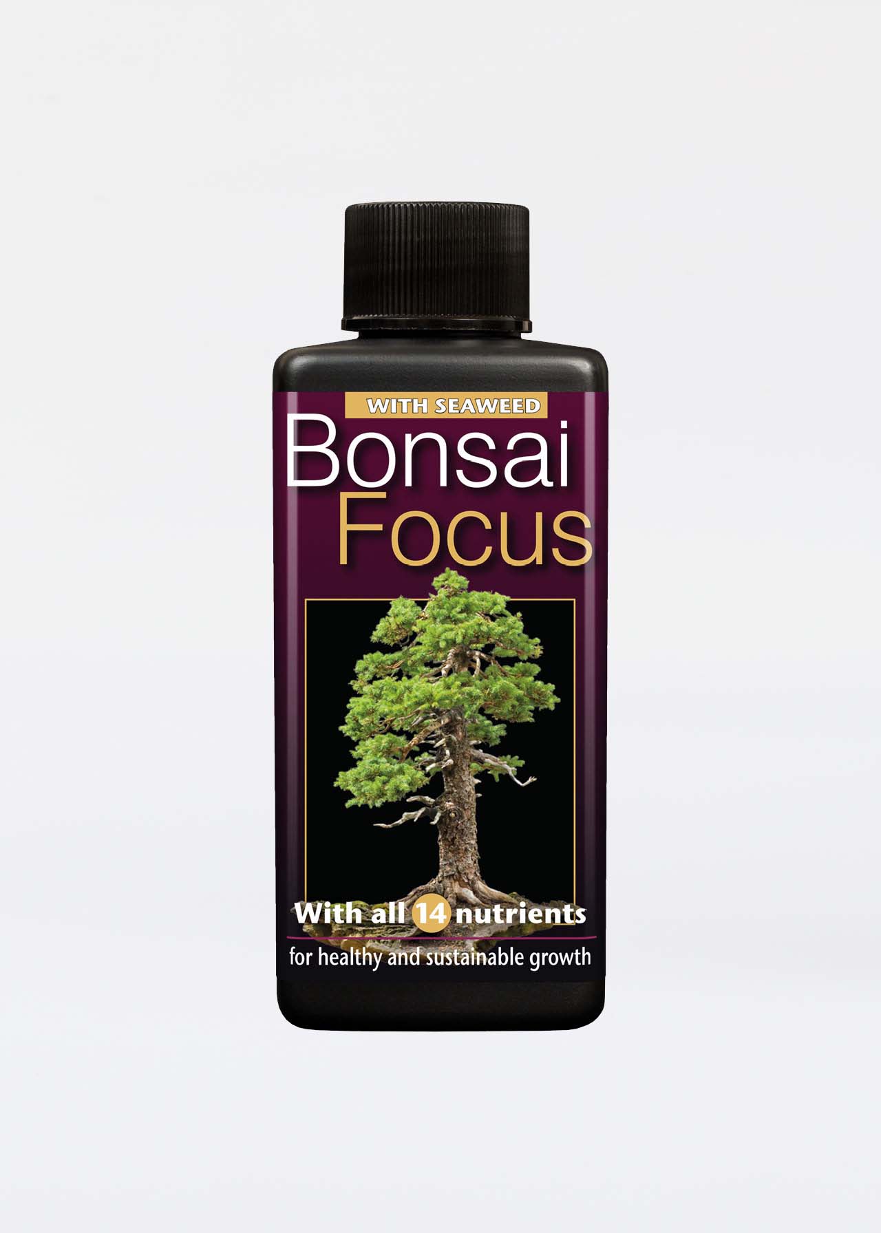 Bonsai Focus 100ml Dobbies Garden Centres