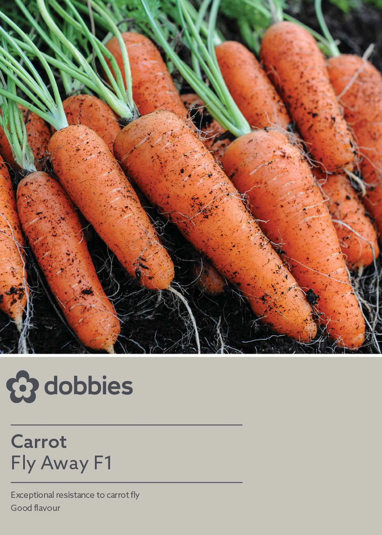 Carrot Fly Away F1 Hybrid Seeds Dobbies Garden Centres