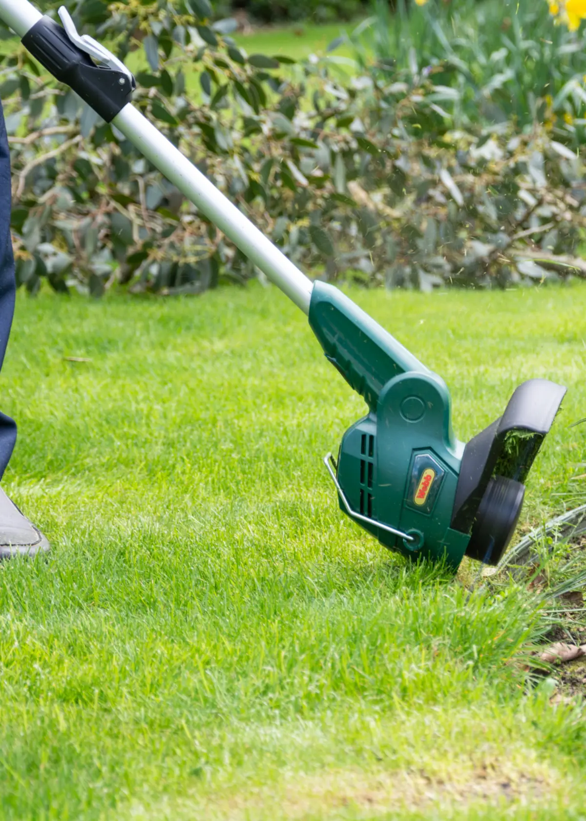 A photo of Webb Classic 25cm Linetrimmer & Edger - 450w