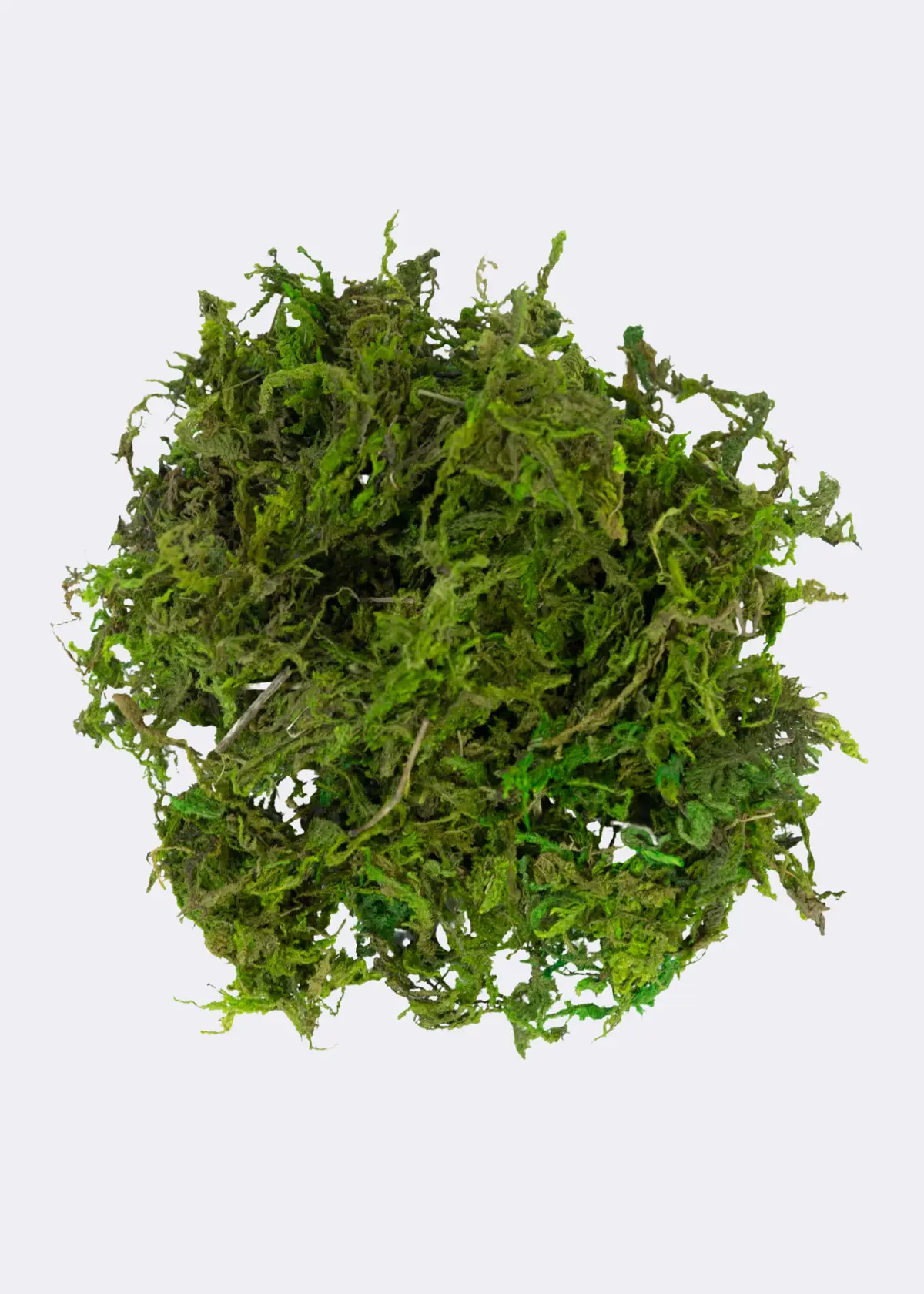 A photo of Decorative Natural Moss 30g Green