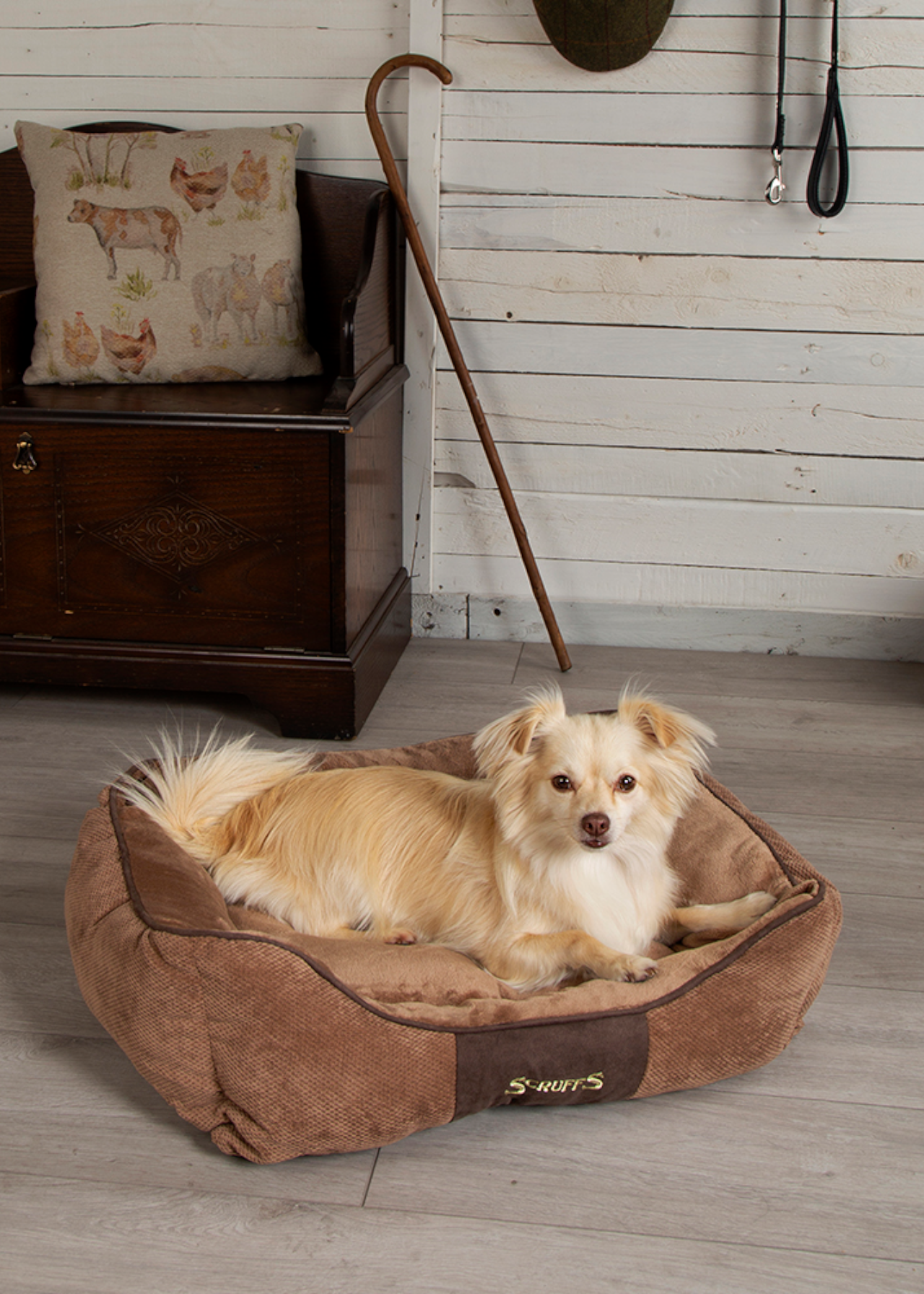 Scruffs Chester Box Dog Bed Medium Chocolate