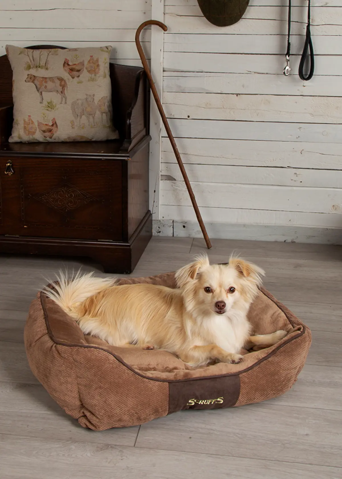 A photo of Scruffs Chester Box Bed (M) Chocolat