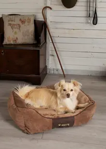 Scruffs Chester Box Bed (M) Chocolat