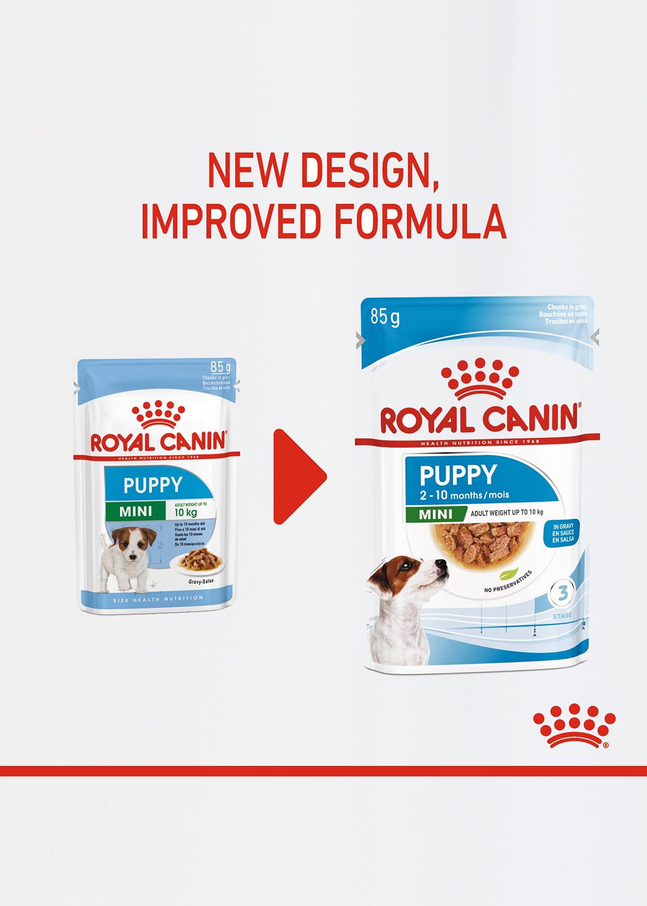 Royal Canin Mini Puppy Food 85g