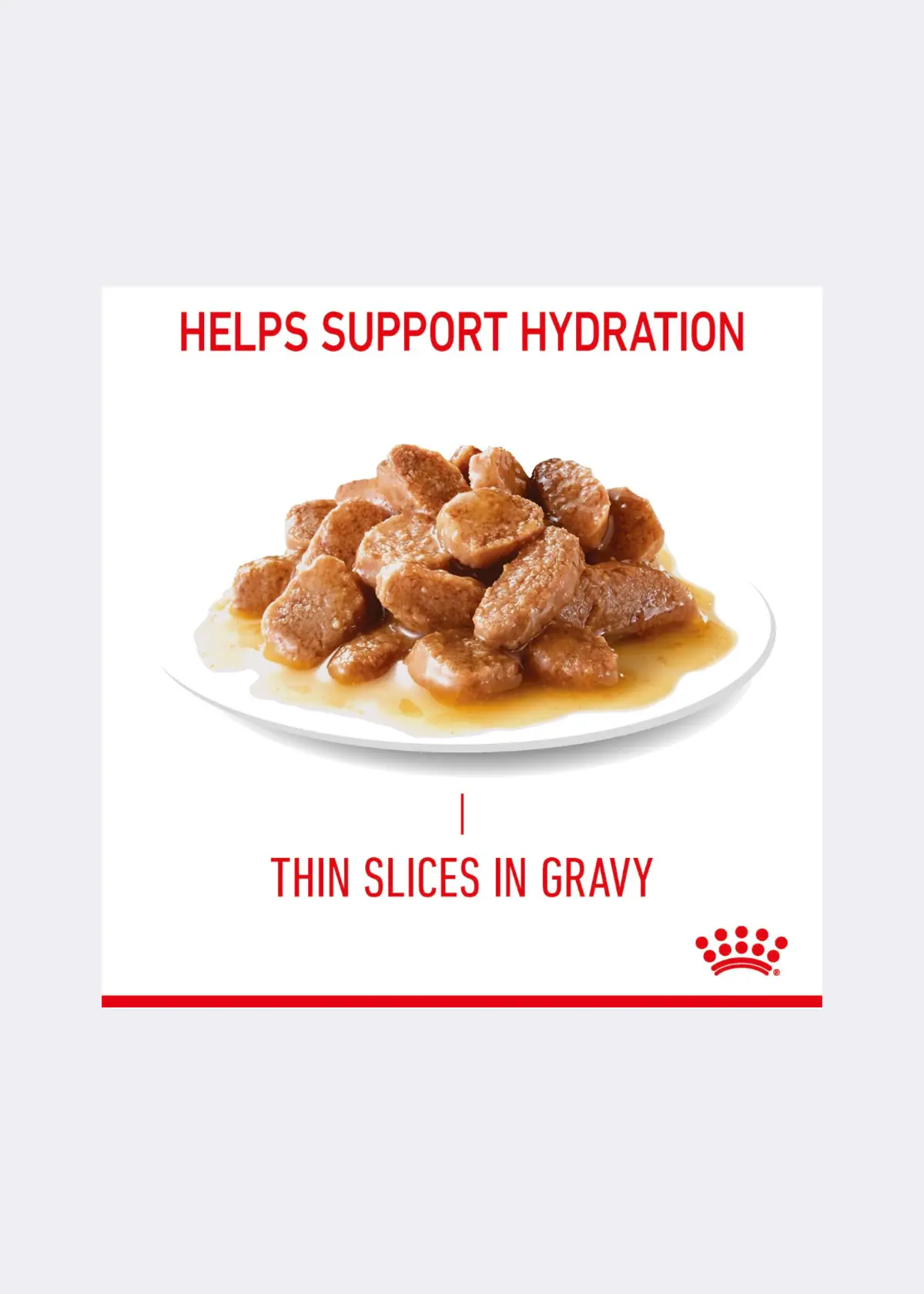 A photo of Royal Canin® Feline Hairball Care Cat Food in Gravy 85g
