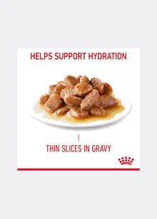 Royal Canin® Feline Hairball Care Cat Food in Gravy 85g