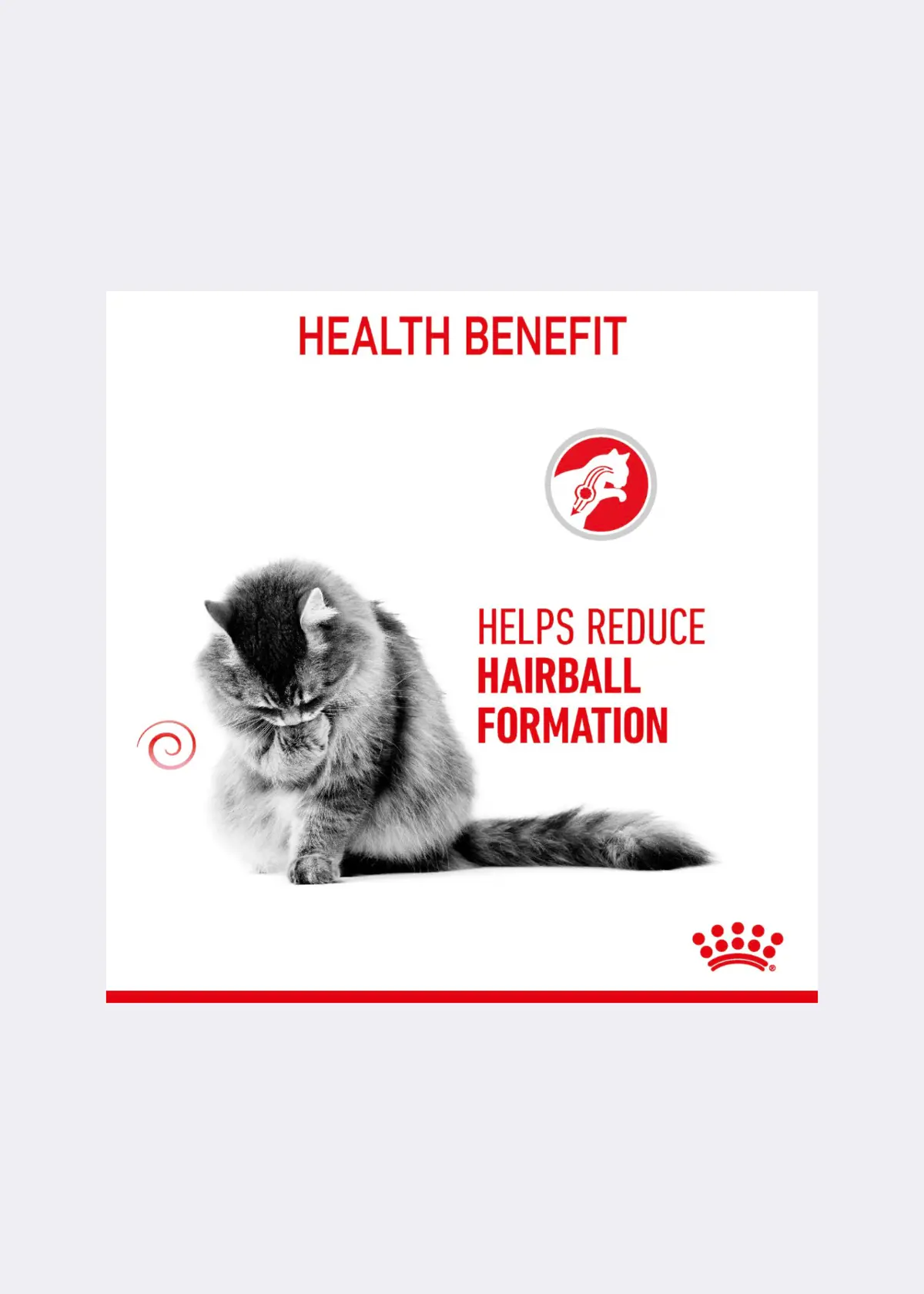 A photo of Royal Canin® Feline Hairball Care Cat Food in Gravy 85g