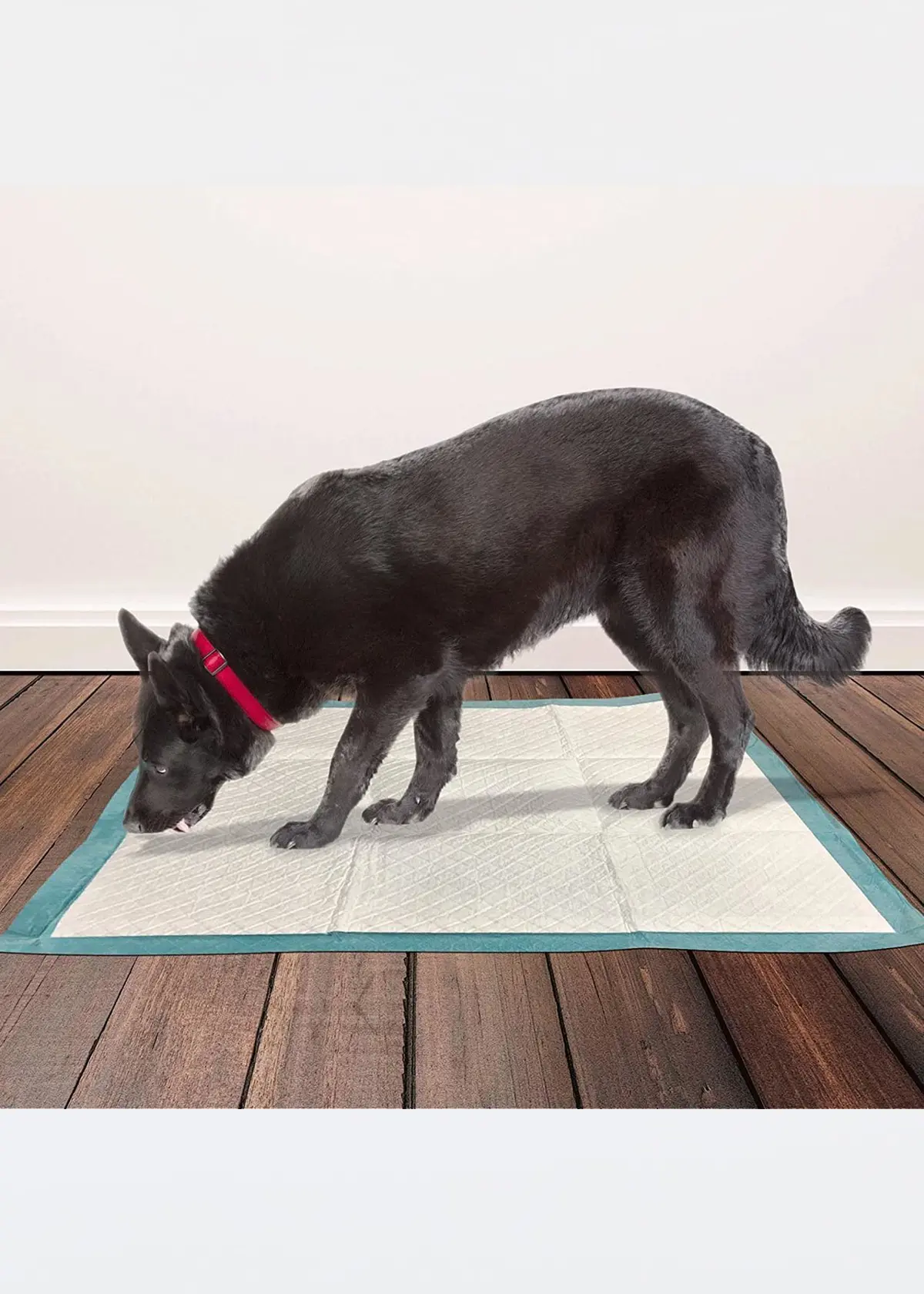 A photo of Simple Solution Premium Puppy Training Pads 56pk