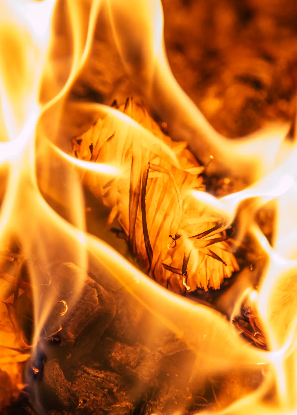 A photo of Homefire Wood Wool Natural Twizlers Firelighters