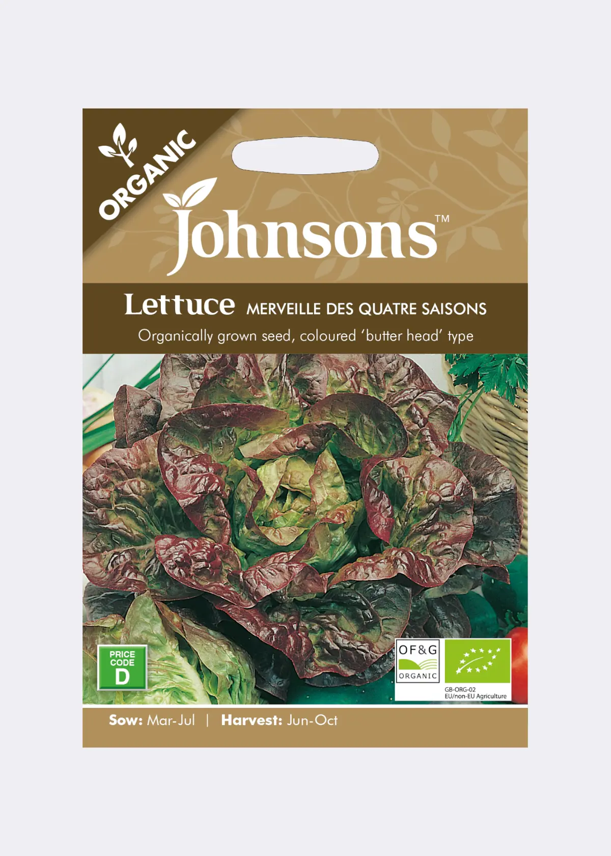 A photo of Organic Lettuce Merveille des quatre saisons Seeds