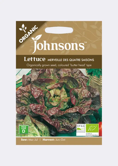 A photo of Organic Lettuce Merveille des quatre saisons Seeds