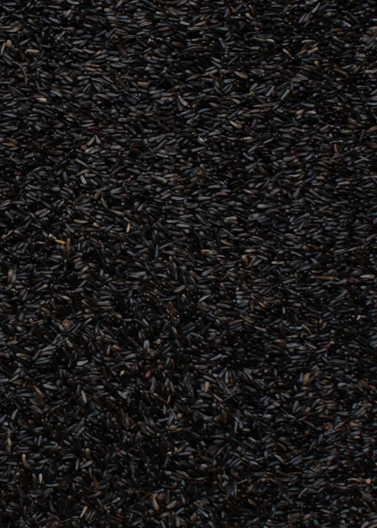 A photo of Henry Bell Nyjer Seed Bird Food 900g