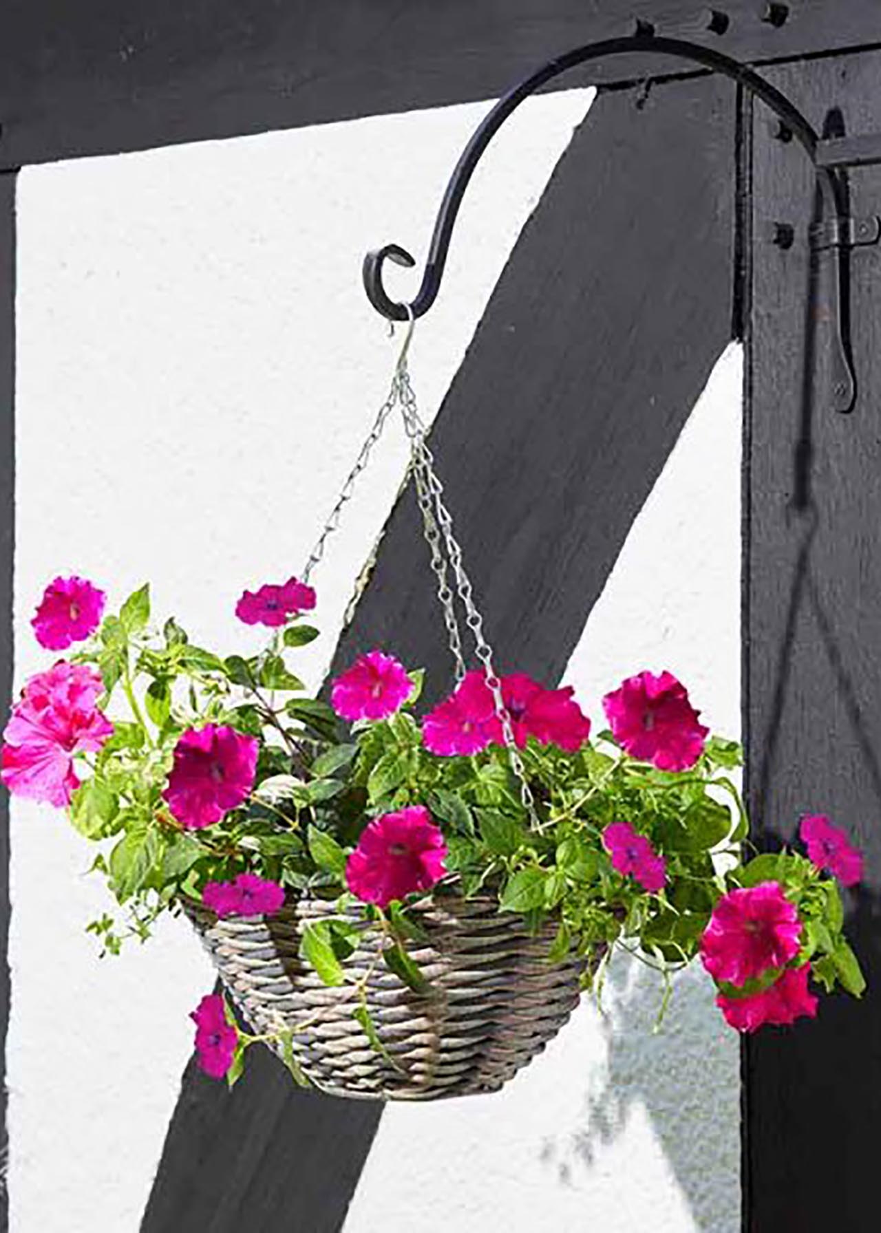 Oceana Faux Rattan Hanging Basket 14i Dobbies Garden Centres