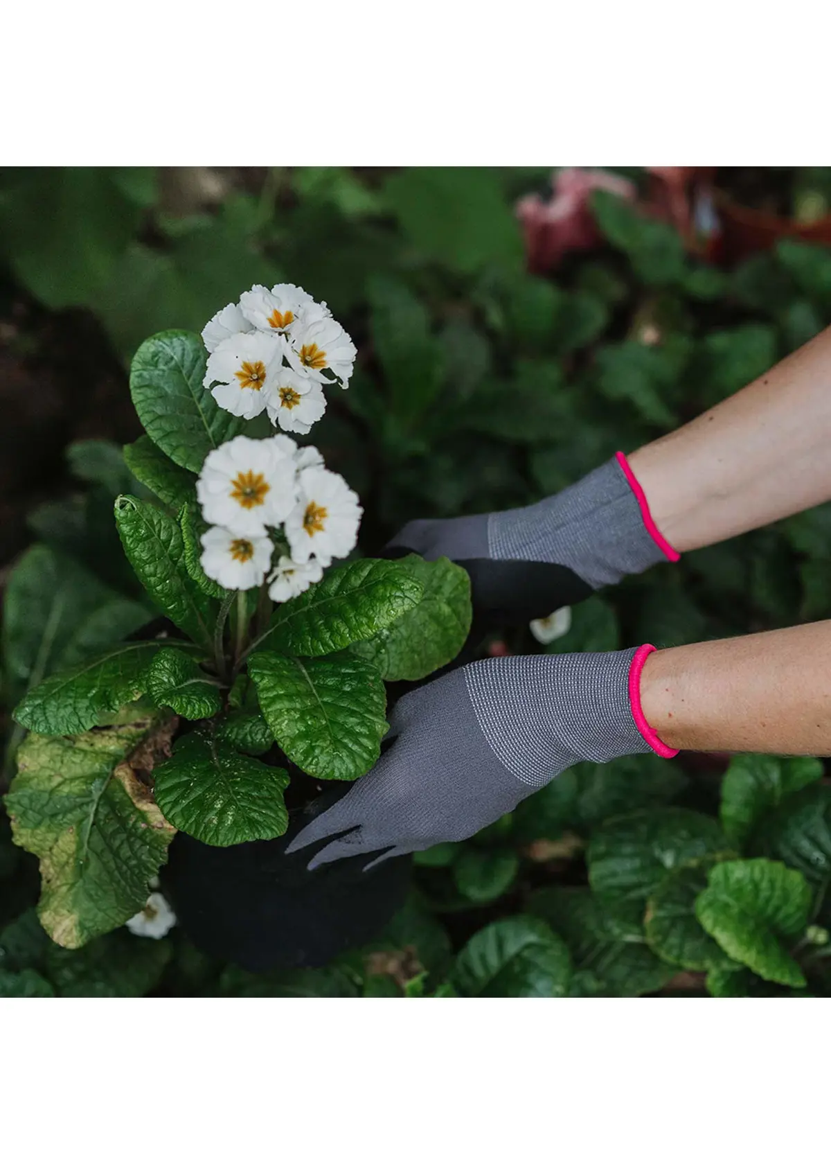 A photo of Premium Seed And Weed Gardening Gloves Medium
