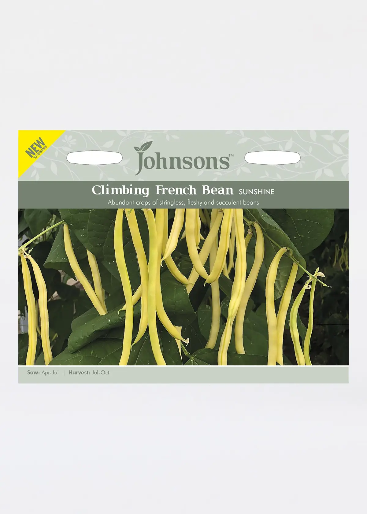 A photo of Climbing French Bean Sunshine Seeds