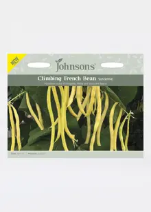 Climbing French Bean Sunshine Seeds