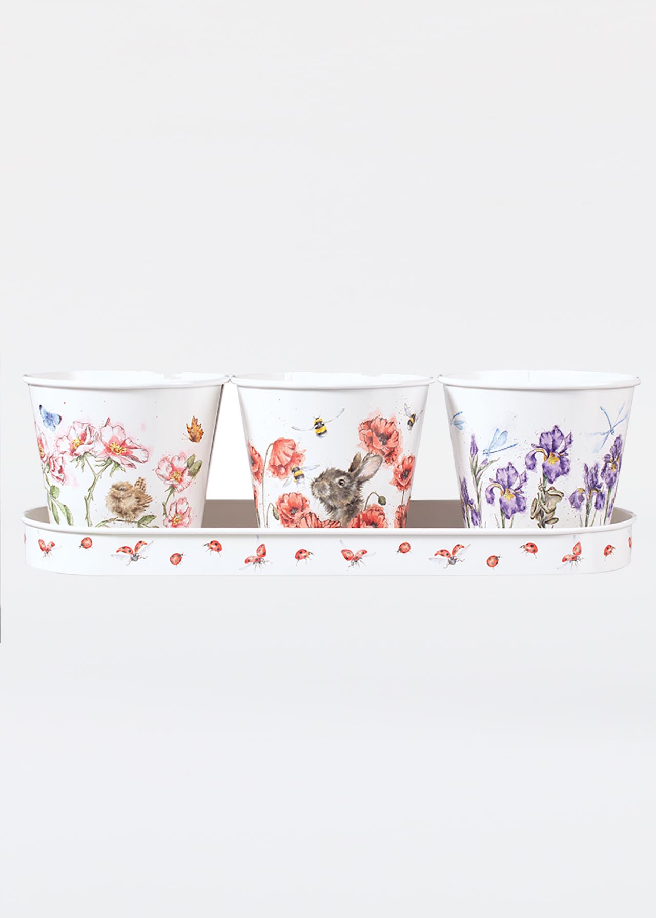 Floral Herb Pots & Tray Dobbies Garden Centres