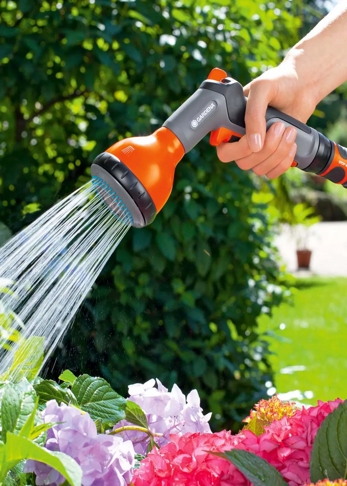 A photo of Classic Multi Sprayer
