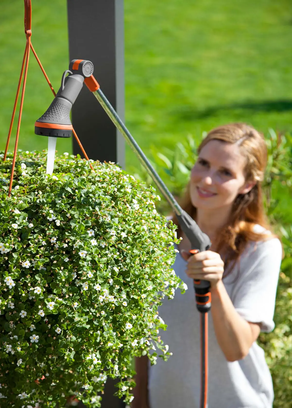 A photo of Comfort Hanging Basket Spray Lance