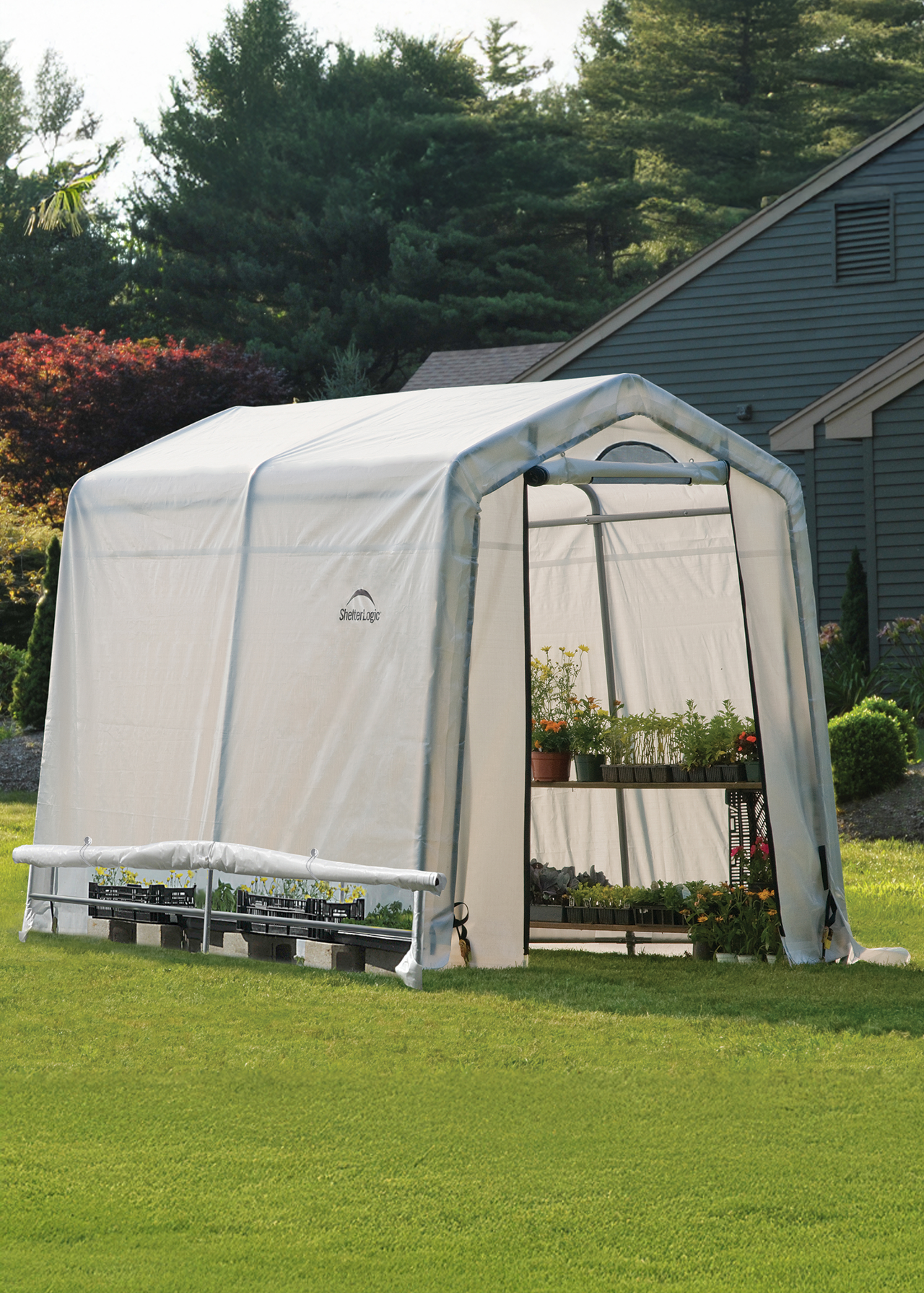6x8 Greenhouse in a Box