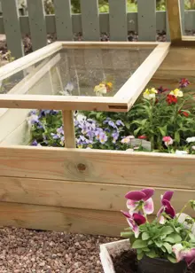 Timber Coldframe