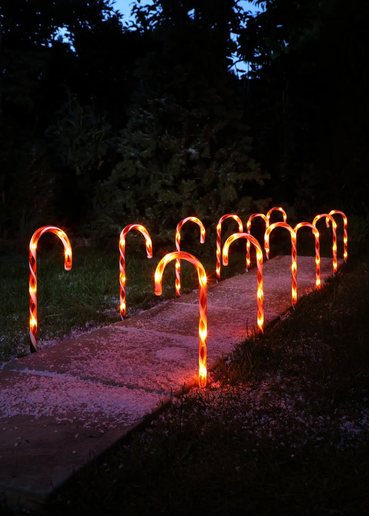 A photo of Set Of 12 Candy Cane Path Finders