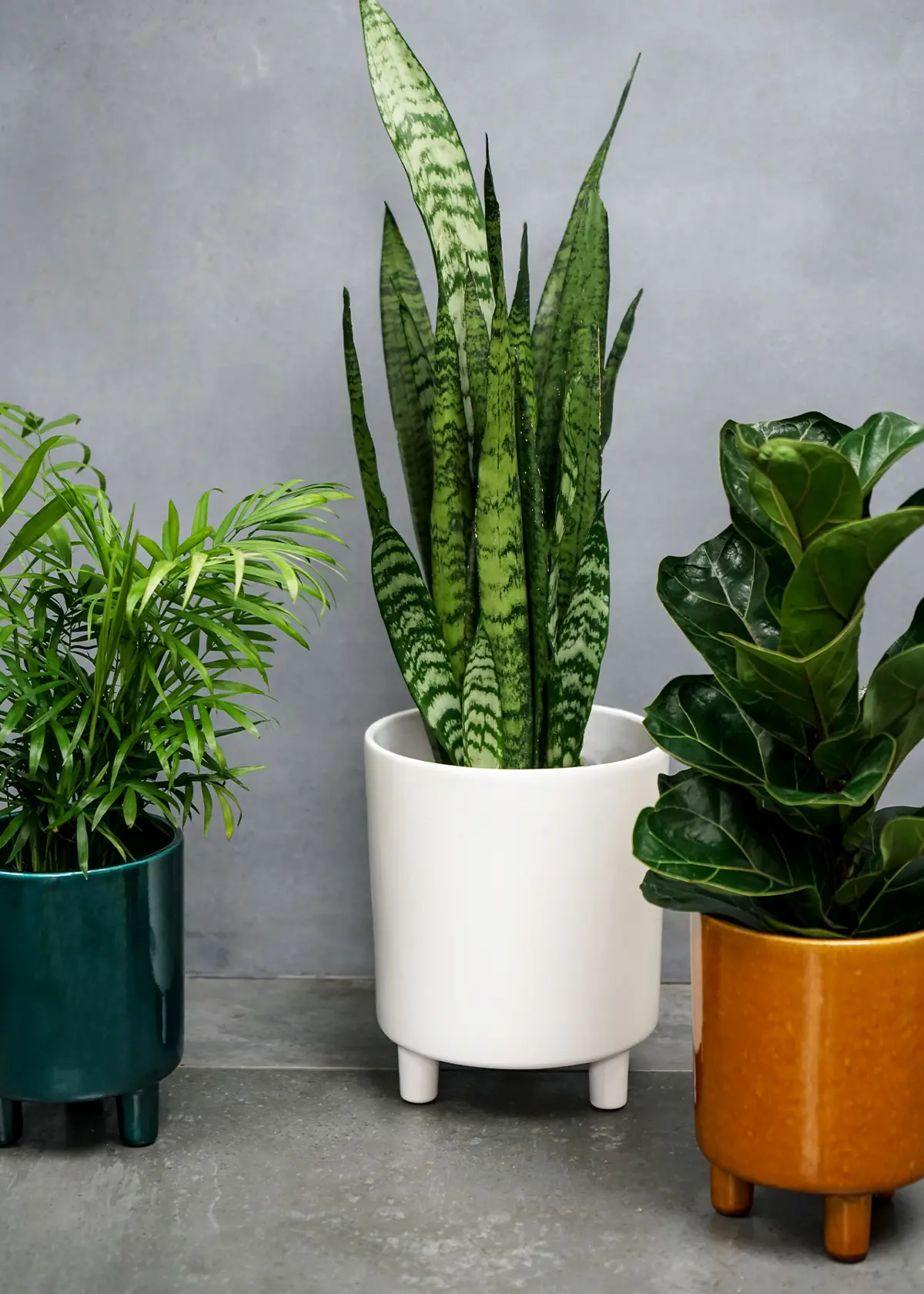 A photo of Pisa White Planter 20cm