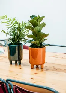 Ivyline Pisa Pot 20cm Emerald