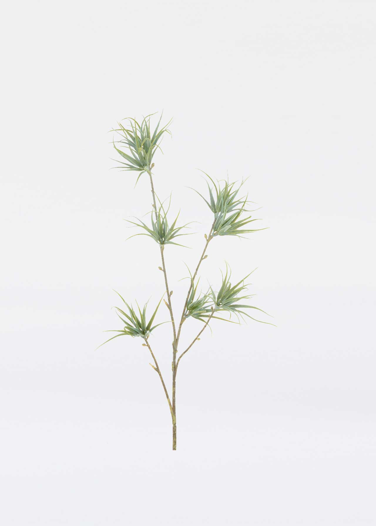 Faux Spider Fern 60cm Grey Dobbies Garden Centres