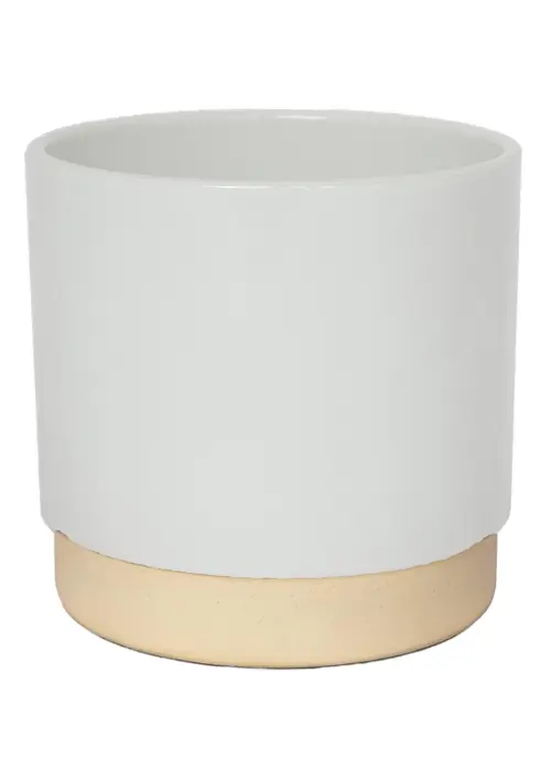 A photo of Ivyline eno pot 13cm white