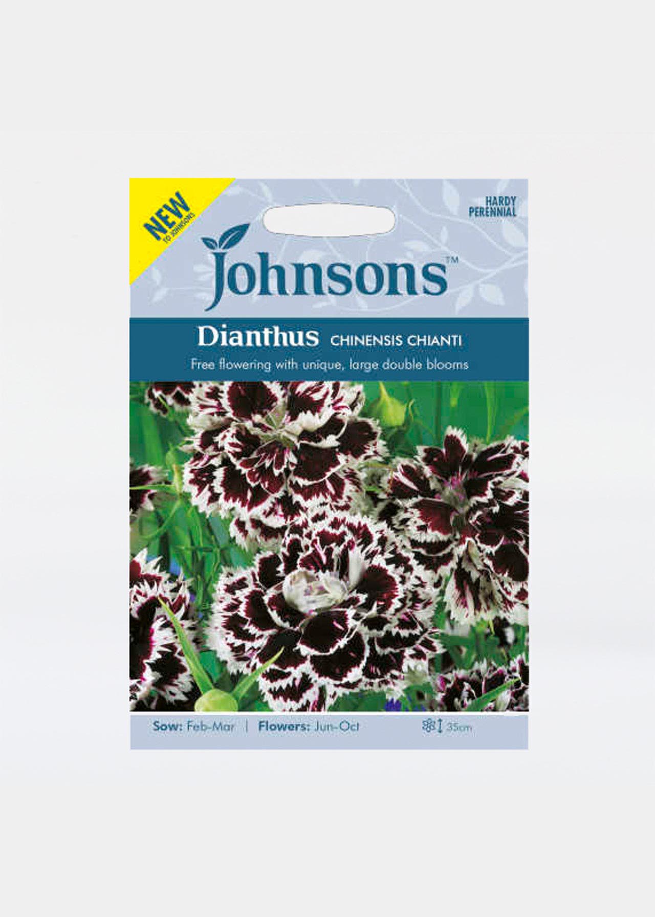 Dianthus Chinensis Chianti Seeds Dobbies Garden Centres